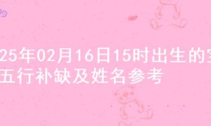 2025年02月16日15时出生的宝宝五行补缺及姓名参考