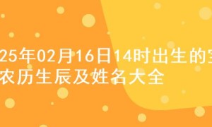 2025年02月16日14时出生的宝宝农历生辰及姓名大全