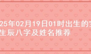 2025年02月19日01时出生的宝宝生辰八字及姓名推荐