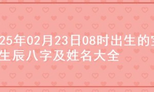 2025年02月23日08时出生的宝宝生辰八字及姓名大全