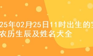 2025年02月25日11时出生的宝宝农历生辰及姓名大全