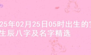 2025年02月25日05时出生的宝宝生辰八字及名字精选