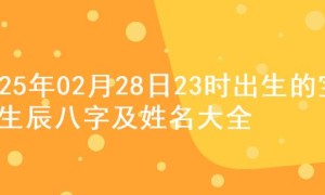 2025年02月28日23时出生的宝宝生辰八字及姓名大全