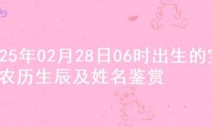 2025年02月28日06时出生的宝宝农历生辰及姓名鉴赏