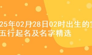 2025年02月28日02时出生的宝宝五行起名及名字精选