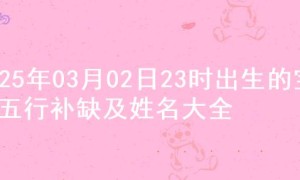 2025年03月02日23时出生的宝宝五行补缺及姓名大全