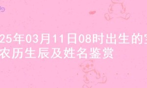 2025年03月11日08时出生的宝宝农历生辰及姓名鉴赏
