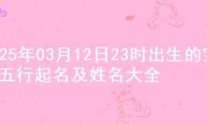2025年03月12日23时出生的宝宝五行起名及姓名大全