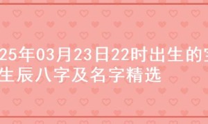 2025年03月23日22时出生的宝宝生辰八字及名字精选