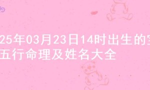 2025年03月23日14时出生的宝宝五行命理及姓名大全