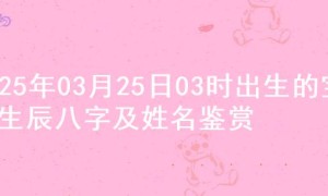 2025年03月25日03时出生的宝宝生辰八字及姓名鉴赏