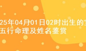 2025年04月01日02时出生的宝宝五行命理及姓名鉴赏