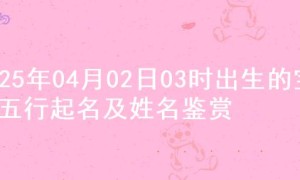 2025年04月02日03时出生的宝宝五行起名及姓名鉴赏