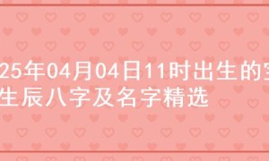 2025年04月04日11时出生的宝宝生辰八字及名字精选