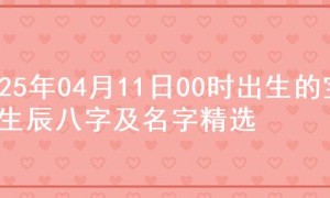 2025年04月11日00时出生的宝宝生辰八字及名字精选