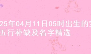 2025年04月11日05时出生的宝宝五行补缺及名字精选