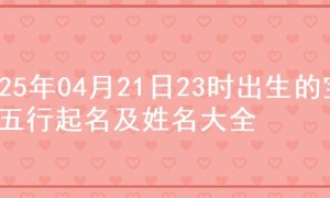 2025年04月21日23时出生的宝宝五行起名及姓名大全
