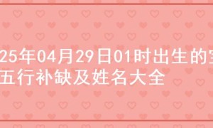 2025年04月29日01时出生的宝宝五行补缺及姓名大全