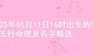 2025年05月11日16时出生的宝宝五行命理及名字精选