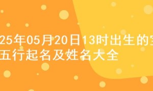 2025年05月20日13时出生的宝宝五行起名及姓名大全