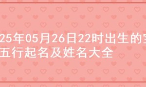 2025年05月26日22时出生的宝宝五行起名及姓名大全