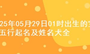2025年05月29日01时出生的宝宝五行起名及姓名大全