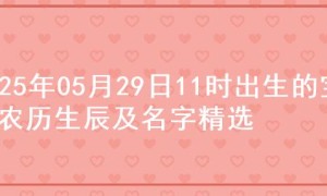 2025年05月29日11时出生的宝宝农历生辰及名字精选