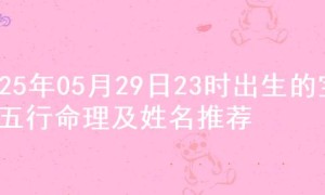 2025年05月29日23时出生的宝宝五行命理及姓名推荐