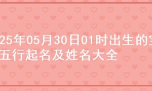 2025年05月30日01时出生的宝宝五行起名及姓名大全