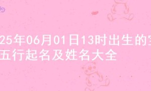 2025年06月01日13时出生的宝宝五行起名及姓名大全