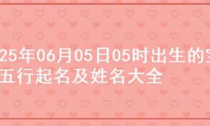 2025年06月05日05时出生的宝宝五行起名及姓名大全