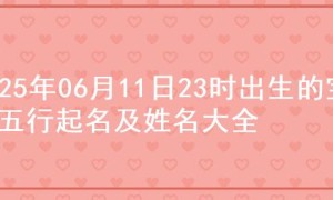 2025年06月11日23时出生的宝宝五行起名及姓名大全