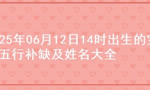 2025年06月12日14时出生的宝宝五行补缺及姓名大全