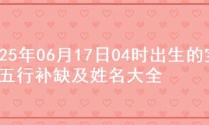 2025年06月17日04时出生的宝宝五行补缺及姓名大全