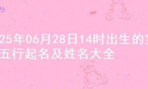 2025年06月28日14时出生的宝宝五行起名及姓名大全