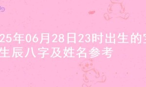2025年06月28日23时出生的宝宝生辰八字及姓名参考
