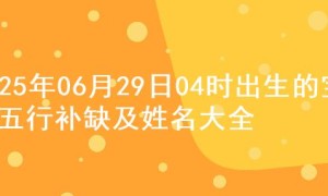 2025年06月29日04时出生的宝宝五行补缺及姓名大全