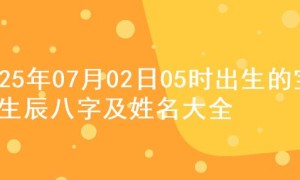 2025年07月02日05时出生的宝宝生辰八字及姓名大全