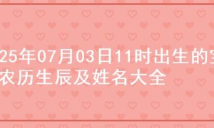 2025年07月03日11时出生的宝宝农历生辰及姓名大全