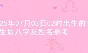 2025年07月03日02时出生的宝宝生辰八字及姓名参考