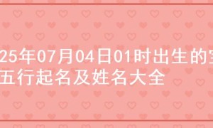2025年07月04日01时出生的宝宝五行起名及姓名大全