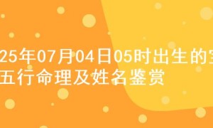 2025年07月04日05时出生的宝宝五行命理及姓名鉴赏