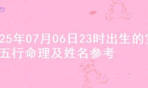 2025年07月06日23时出生的宝宝五行命理及姓名参考
