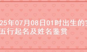 2025年07月08日01时出生的宝宝五行起名及姓名鉴赏