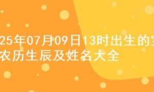 2025年07月09日13时出生的宝宝农历生辰及姓名大全