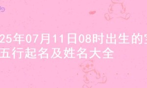 2025年07月11日08时出生的宝宝五行起名及姓名大全