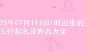 2025年07月11日01时出生的宝宝五行起名及姓名大全