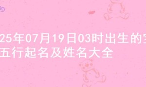 2025年07月19日03时出生的宝宝五行起名及姓名大全
