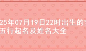 2025年07月19日22时出生的宝宝五行起名及姓名大全