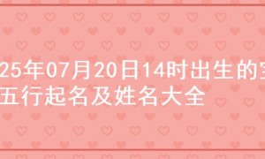 2025年07月20日14时出生的宝宝五行起名及姓名大全
